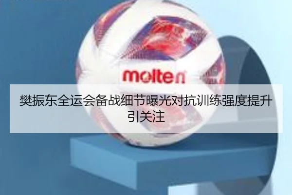 樊振东全运会备战细节曝光对抗训练强度提升引关注